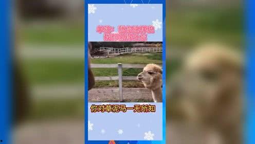 吃瓜群众娱乐版下载安装